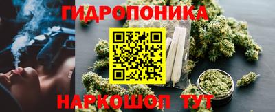амф Канаш
