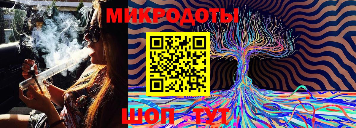 Ишимбай  Галлюциногенные грибы Psilocybe  Вход с VPN 